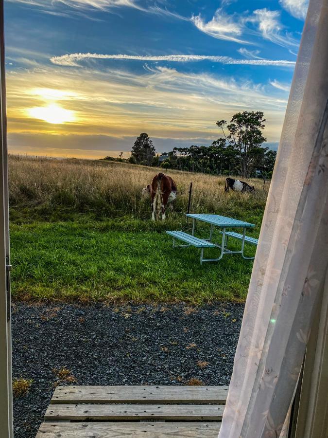 White Caps Kaikoura Farmstay المظهر الخارجي الصورة