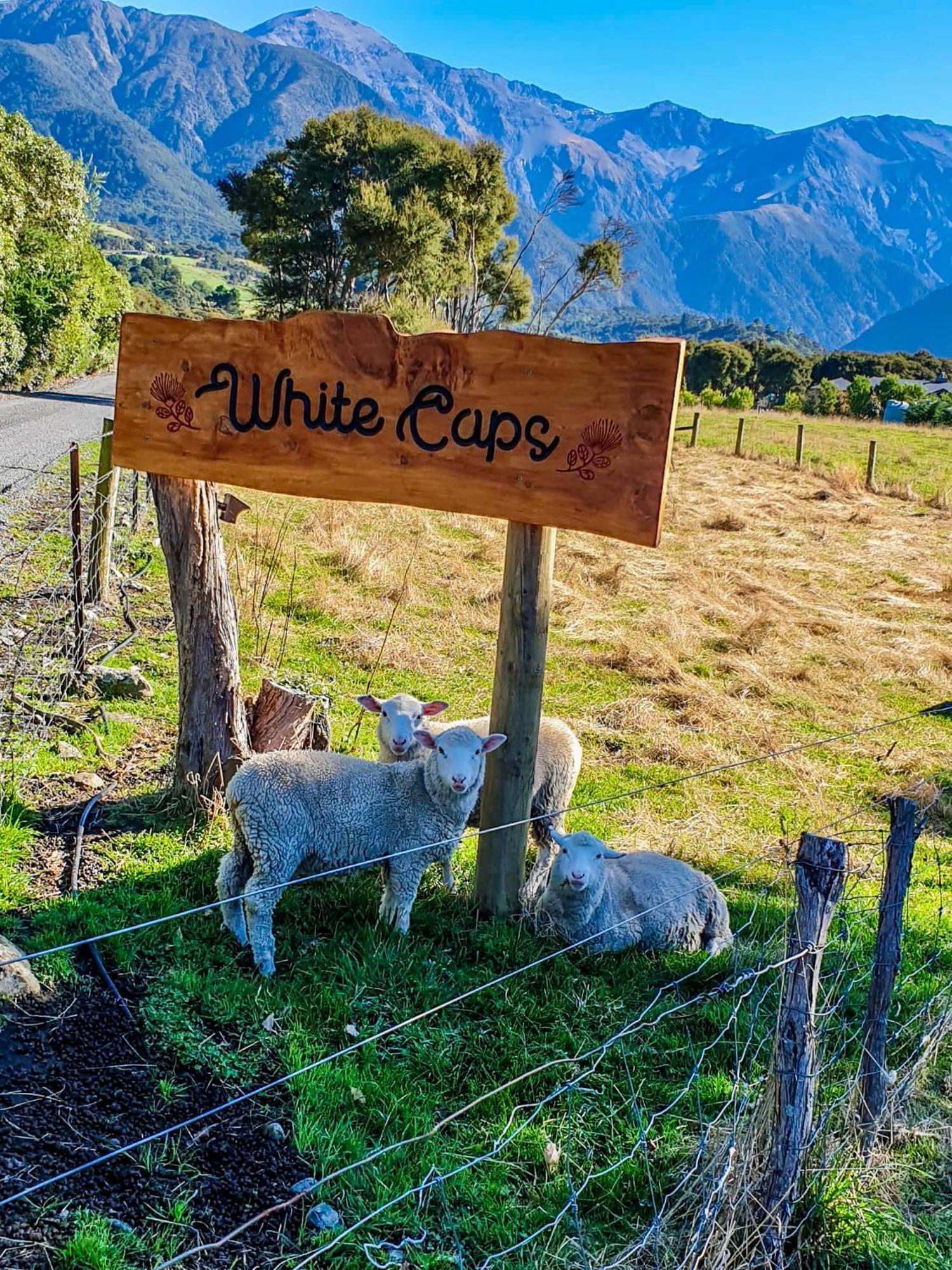 White Caps Kaikoura Farmstay المظهر الخارجي الصورة
